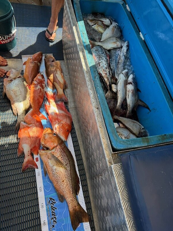 Anglers Choice Fishing Safaris-达尔文市必去景点