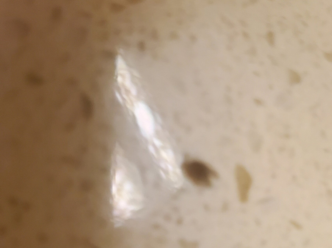 马瓦希尔顿恒庭旅馆&套房酒店主图