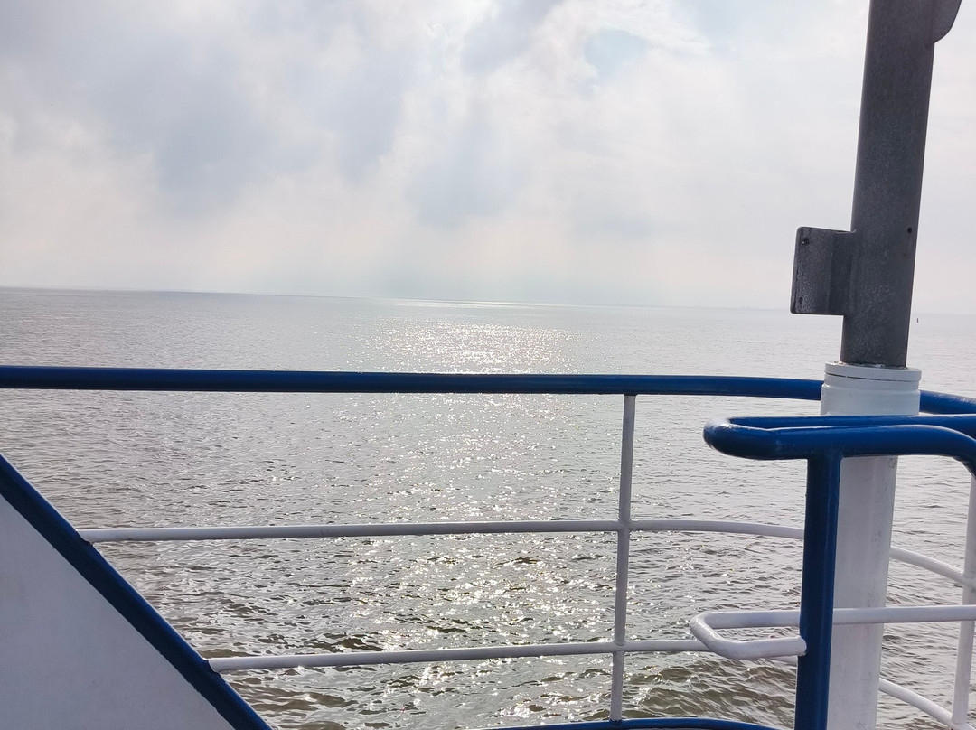 Zeehond Robbentocht-Nes必去景点