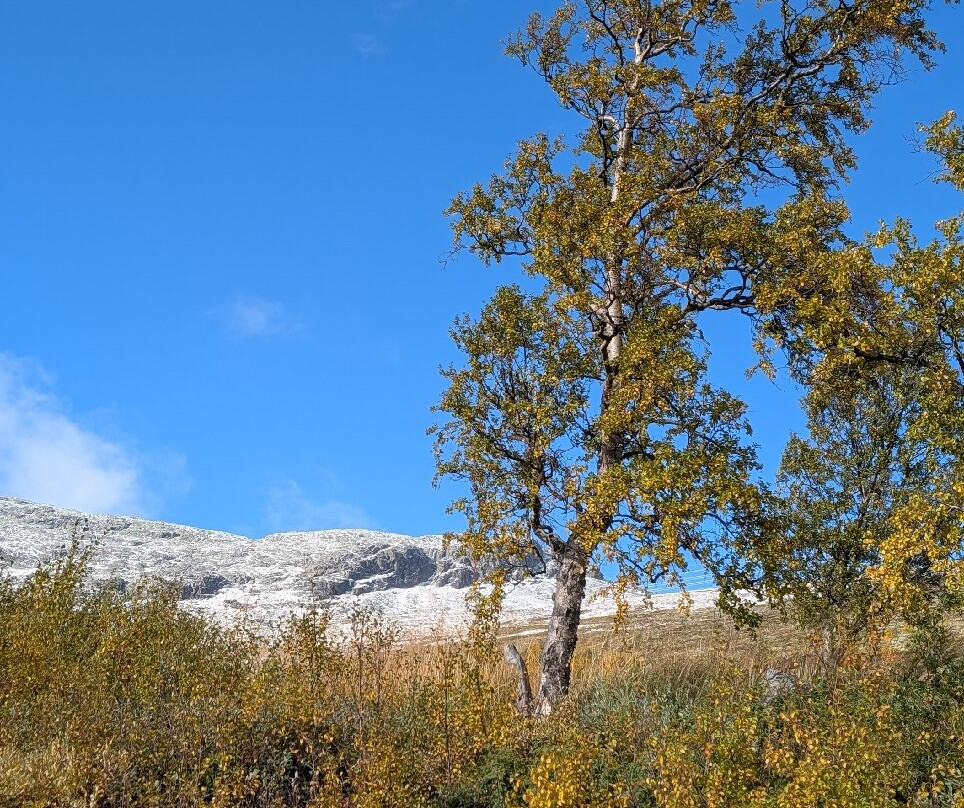 Storestølen Fjellhotell主图