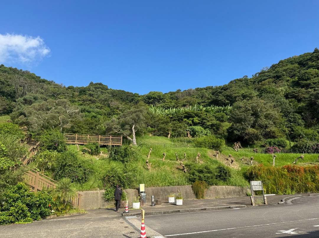 Michi-no-Eki Phoenix-宫崎市必去景点