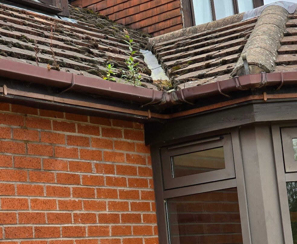 The Abbey Golf Course-雷迪奇必去景点