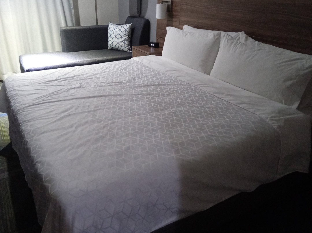 Holiday Inn Express Piedras Negras by IHG主图