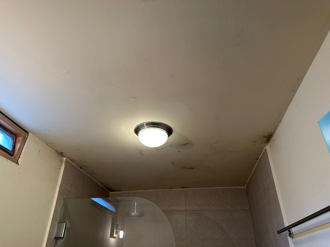 Inti Sisa Art Guesthouse主图