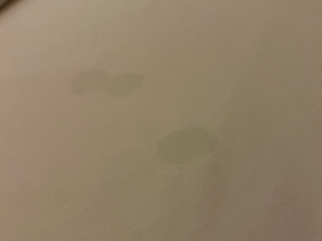 巴希亚普林西比科巴酒店主图