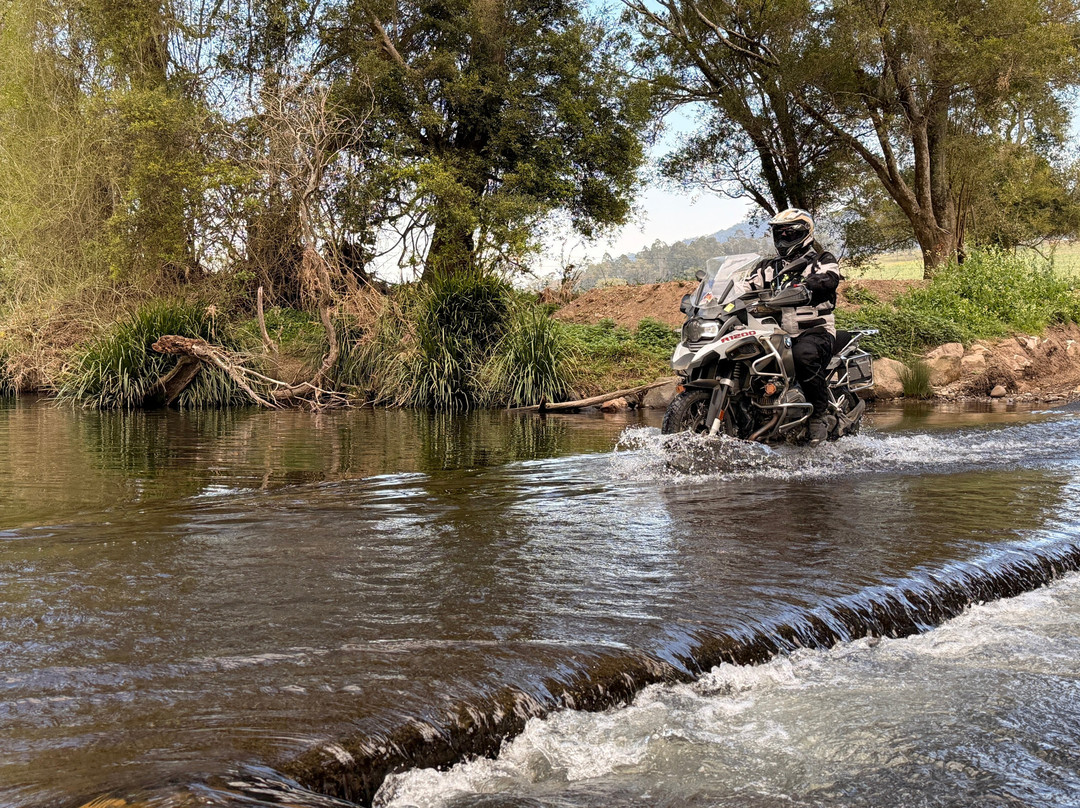 Aussie Bike or Hike-Taree必去景点
