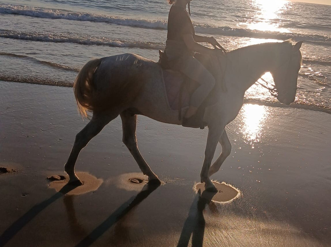 Hipica la Patina-奇克拉纳－德拉弗龙特拉必去景点