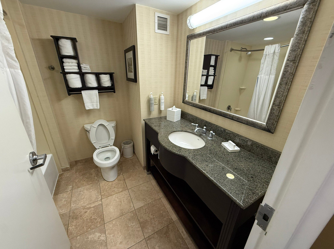 亚历山德里亚希尔顿恒庭旅馆&套房酒店主图