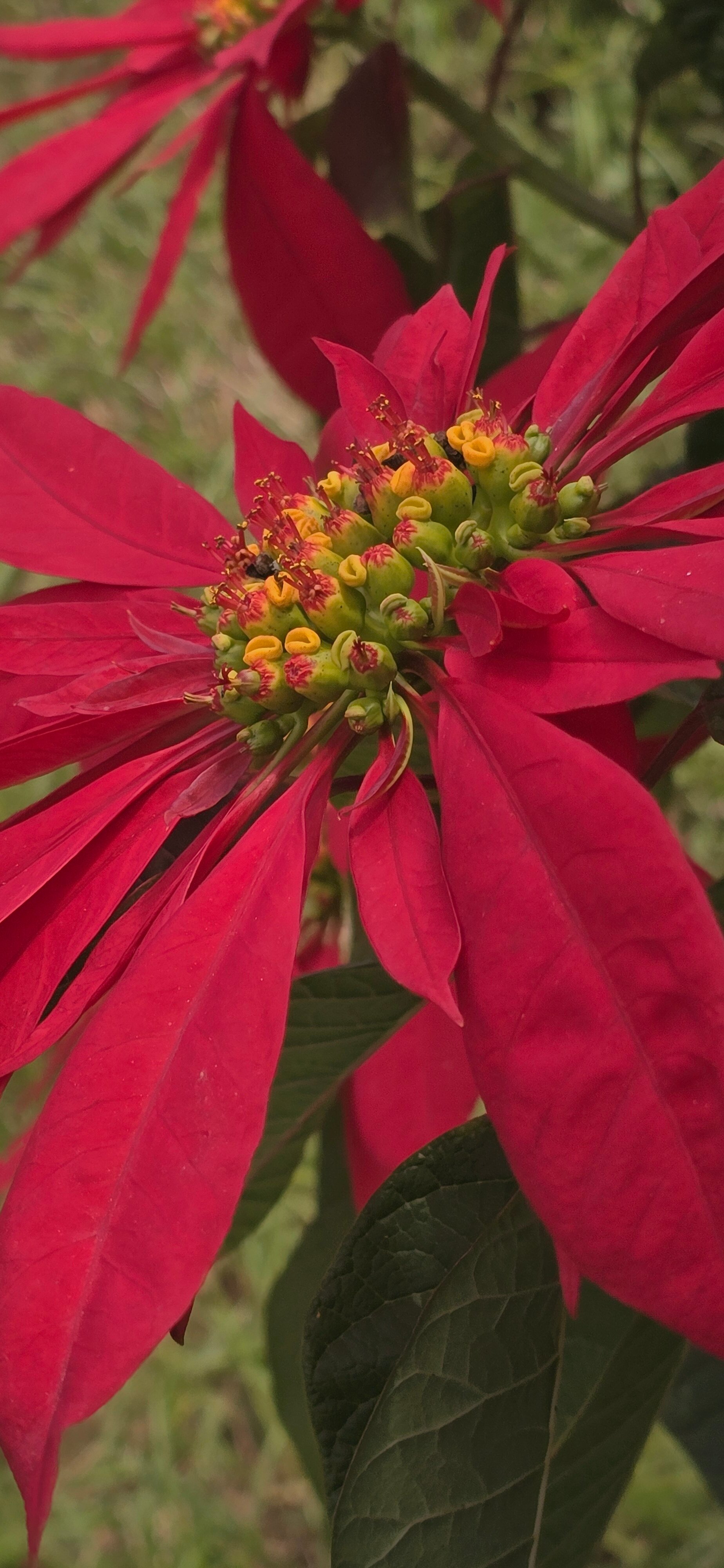 假日度假村-官方