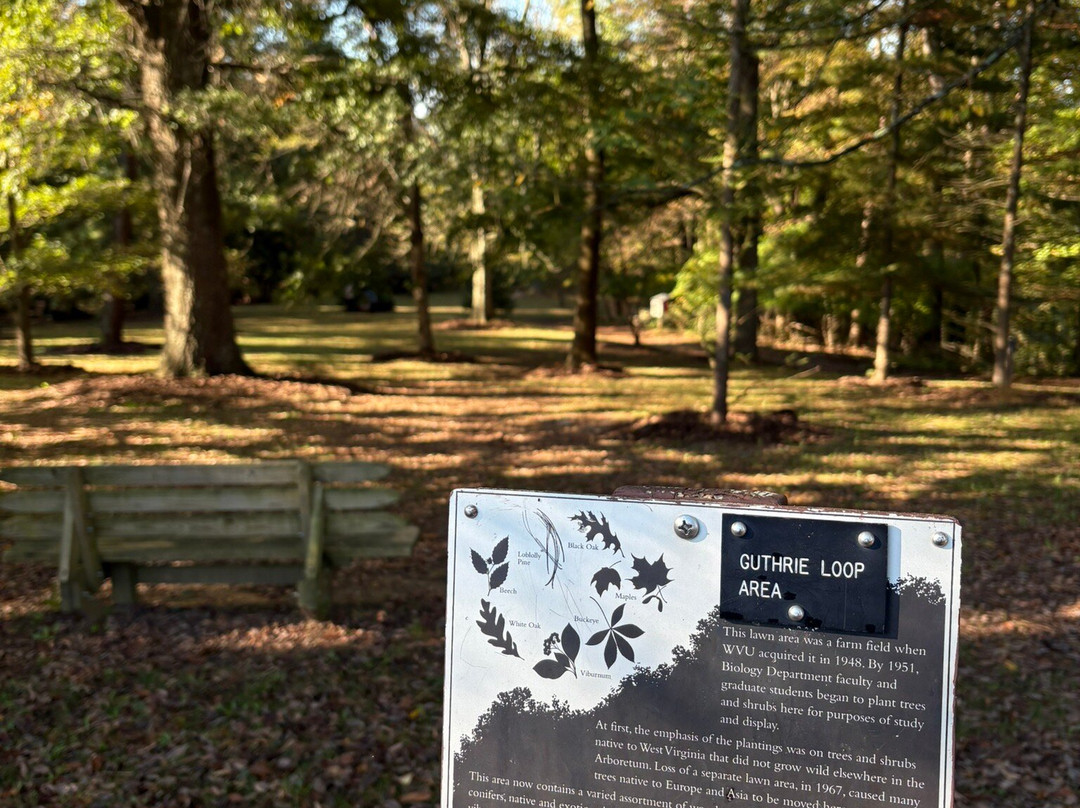 WVU Core Arboretum-摩根敦必去景点