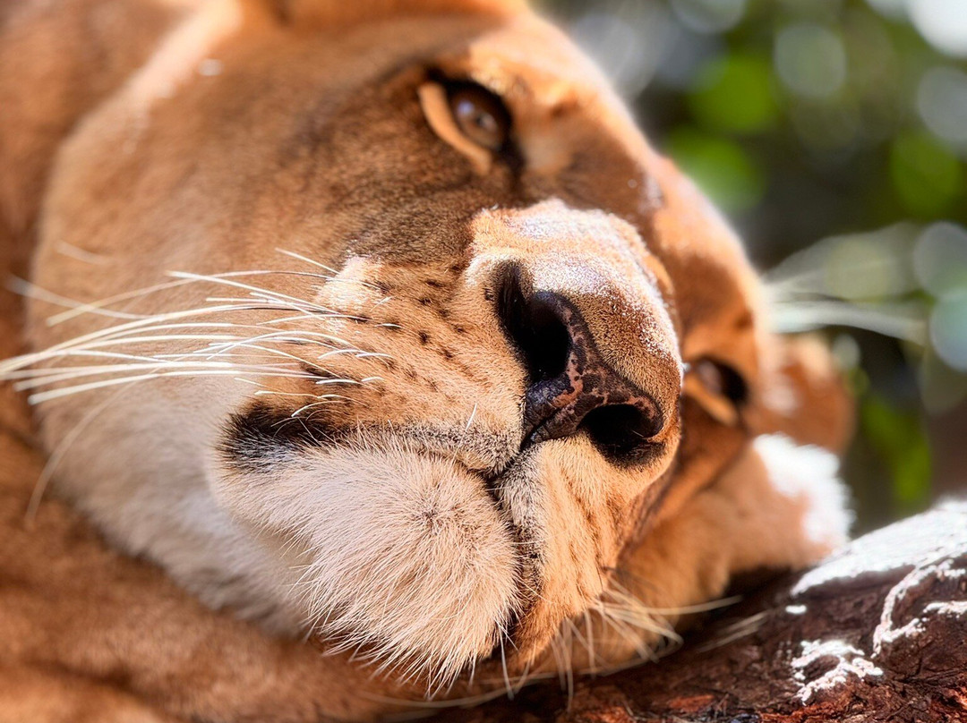 Mo_aventure_hiking 7cascade-Henrietta必去景点