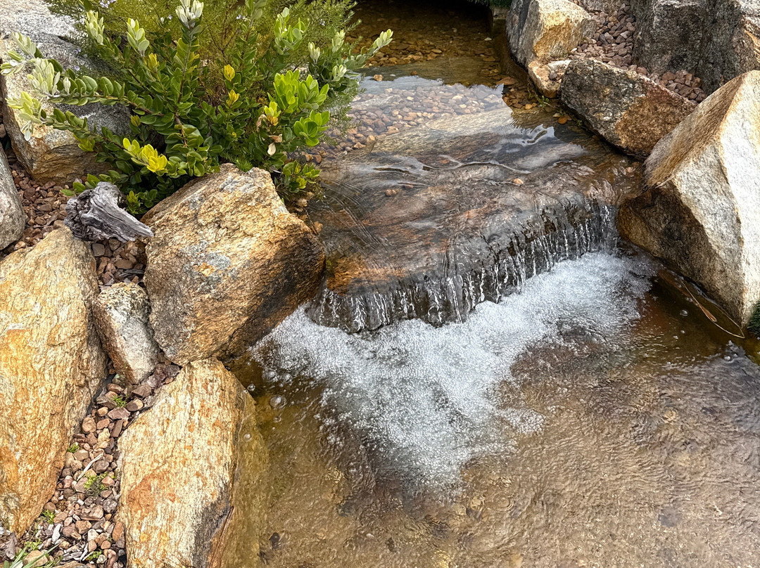 Yallingup Maze & Mini Golf-雅林角必去景点