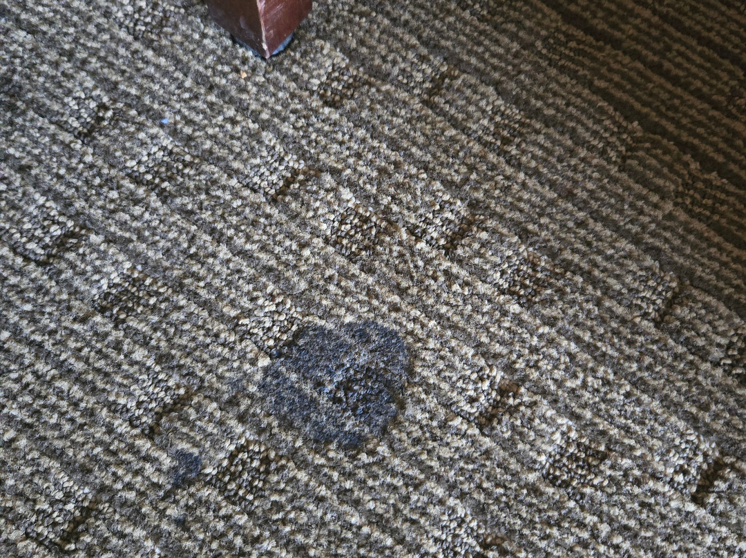 Comfort Suites Grand Rapids North主图