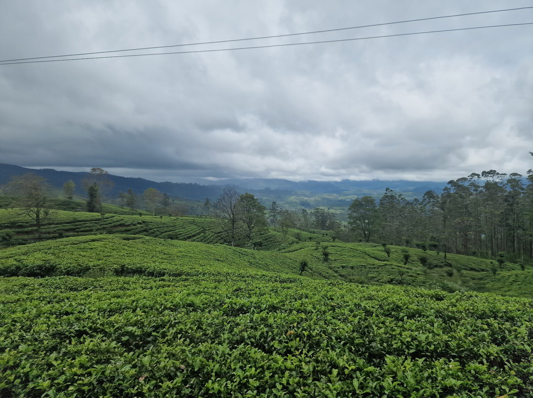 Rainbow Tours Sri Lanka-康提必去景点