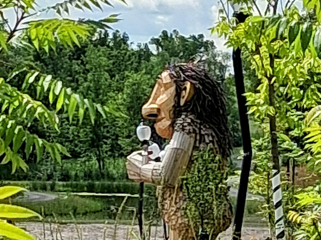 Firefly Grove Park-沃瓦托萨必去景点