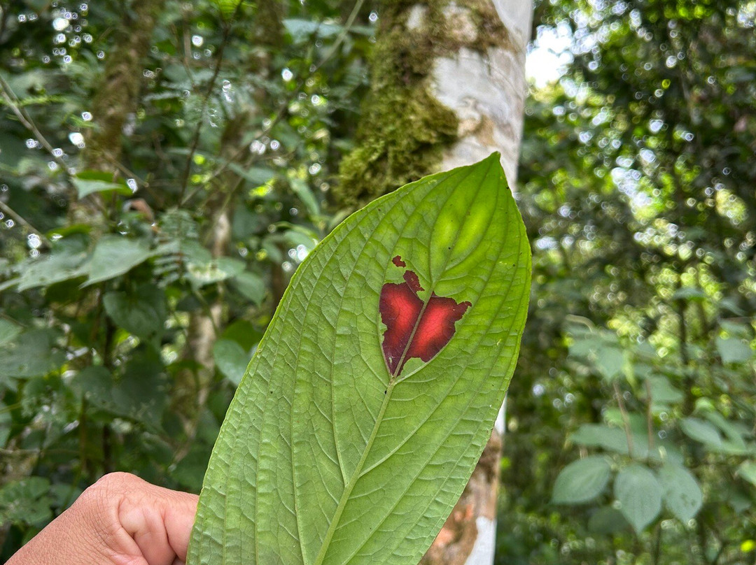 Serendipity Adventures-图里亚尔瓦必去景点
