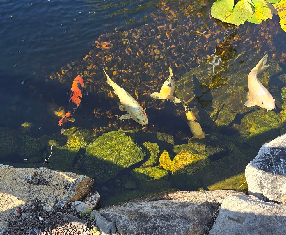 Peddler's Village-Lahaska必去景点