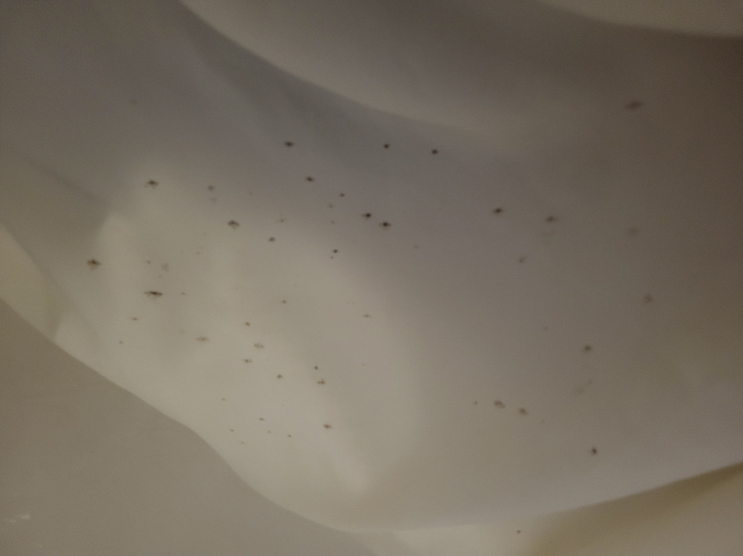 Stoney Creek Hotel Quad Cities - Moline主图