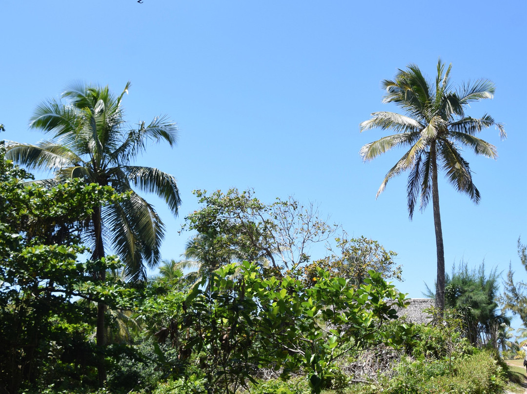 Piscine Naturelle d’Ambodiatafana-Nosy Boraha必去景点