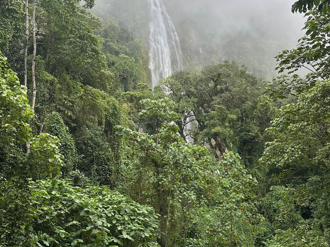 Jungle ATV Quad Tours-乌维塔必去景点