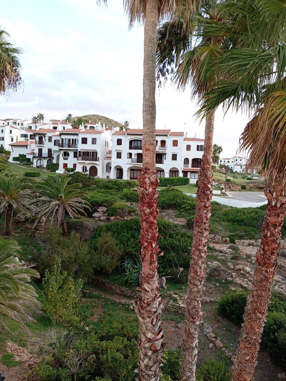 Comitas Tramontana Park-官方