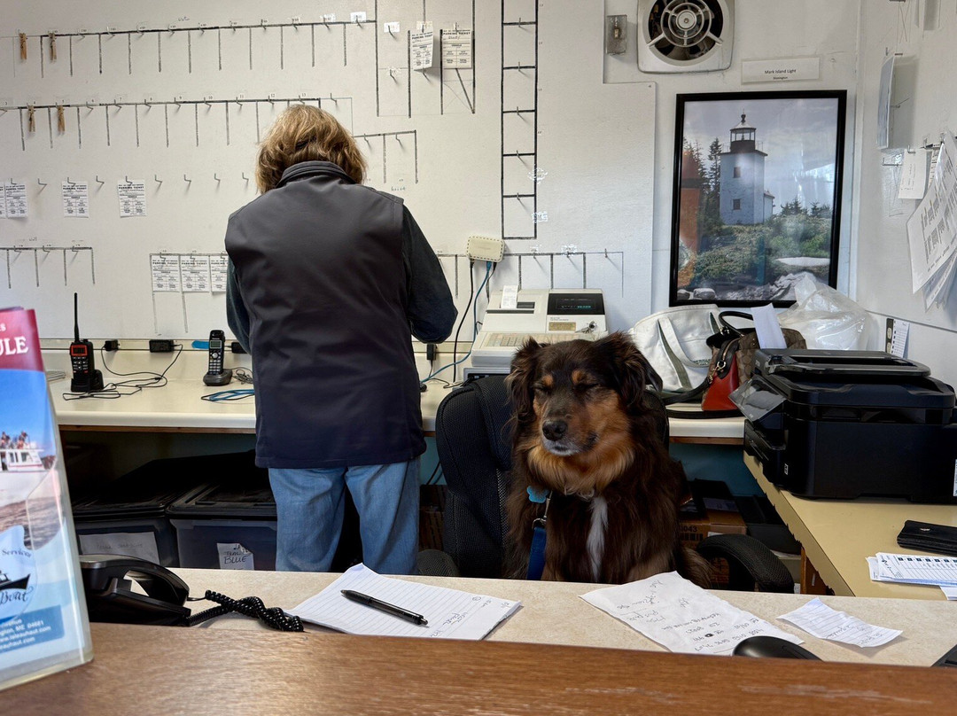 Isle au Haut Boat Services-Stonington必去景点