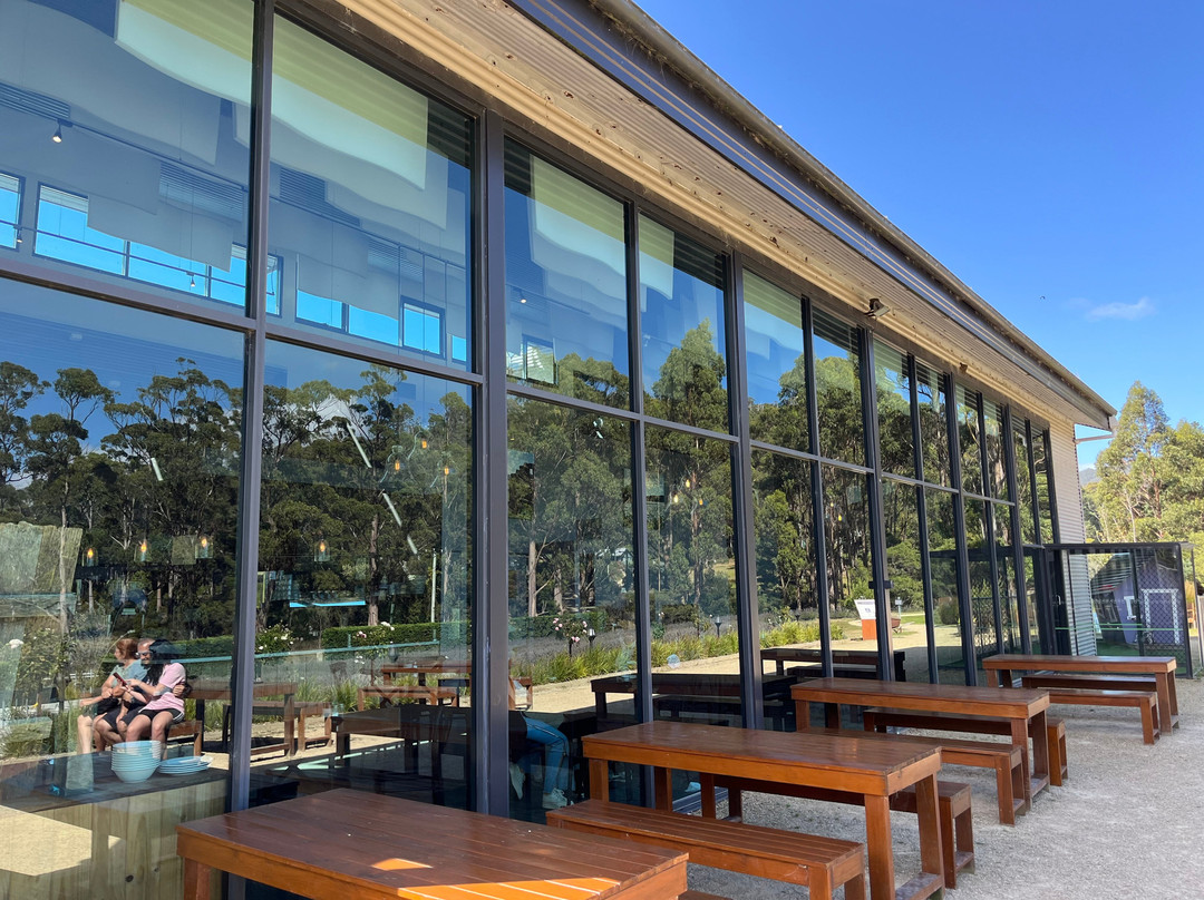 Port Arthur Lavender Farm · Tourist Attraction-亚瑟港必去景点