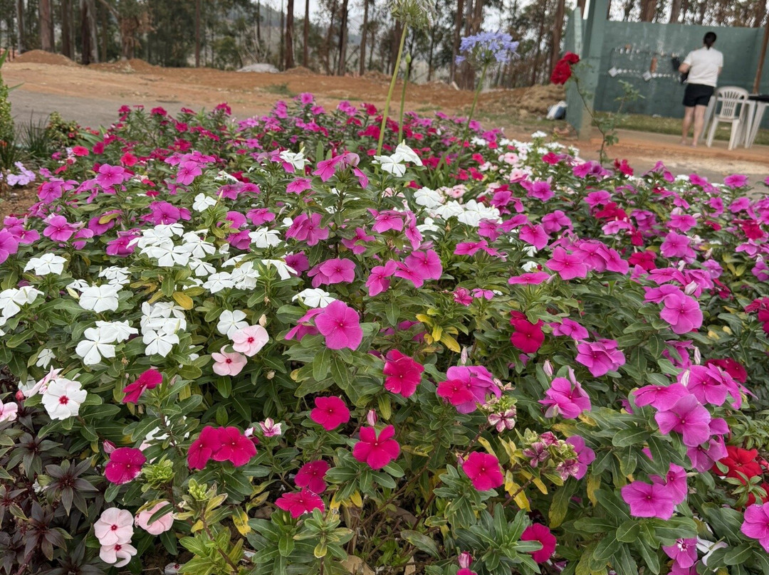 Hotel Fazenda Poços de Caldas主图