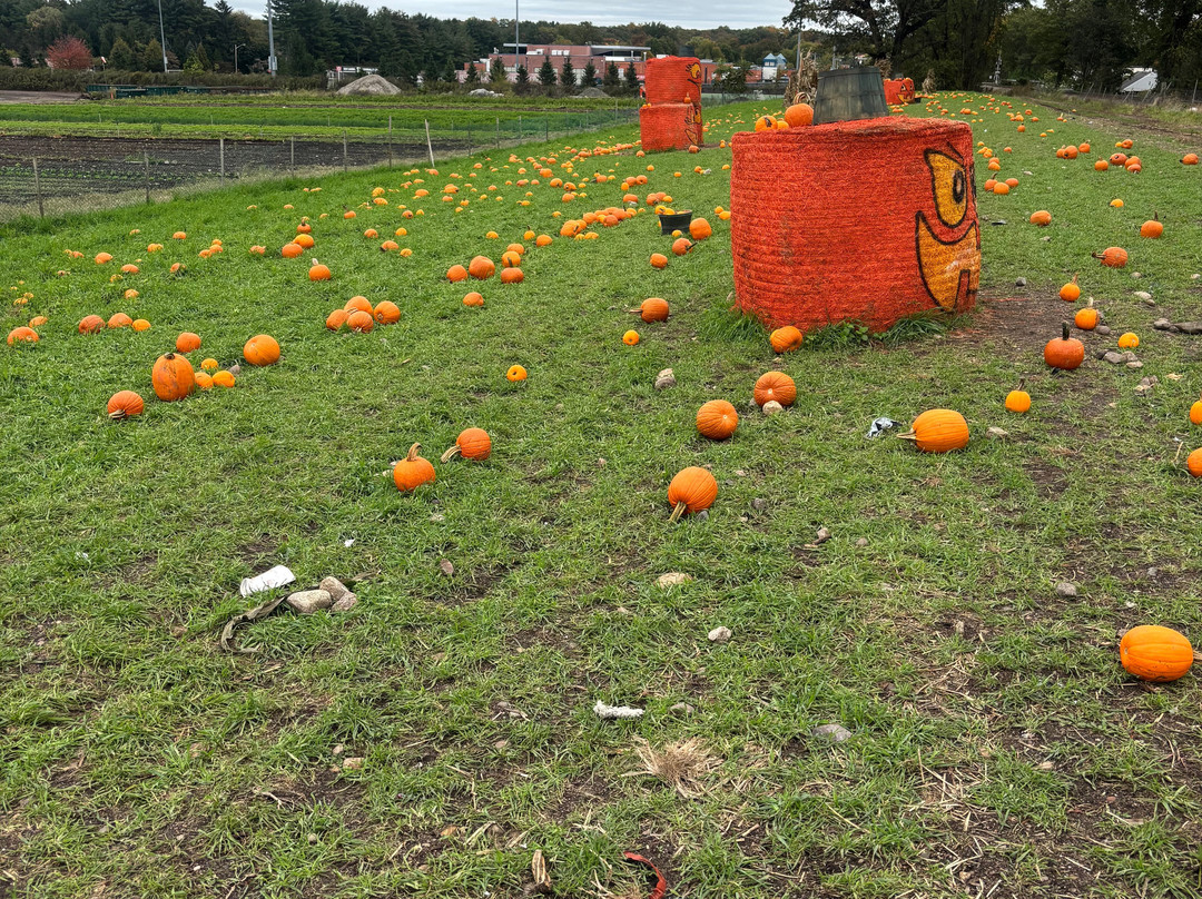 Abma's Farm-Wyckoff必去景点