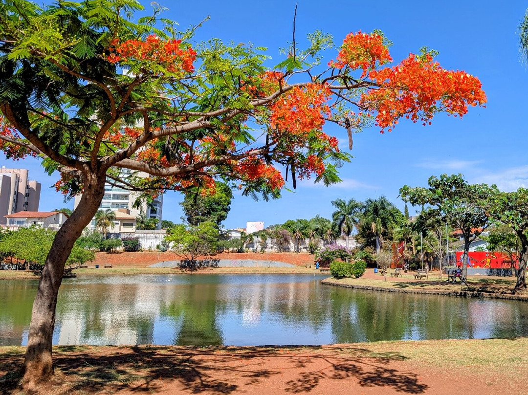 Parque Ambiental Ipiranga-Anapolis必去景点
