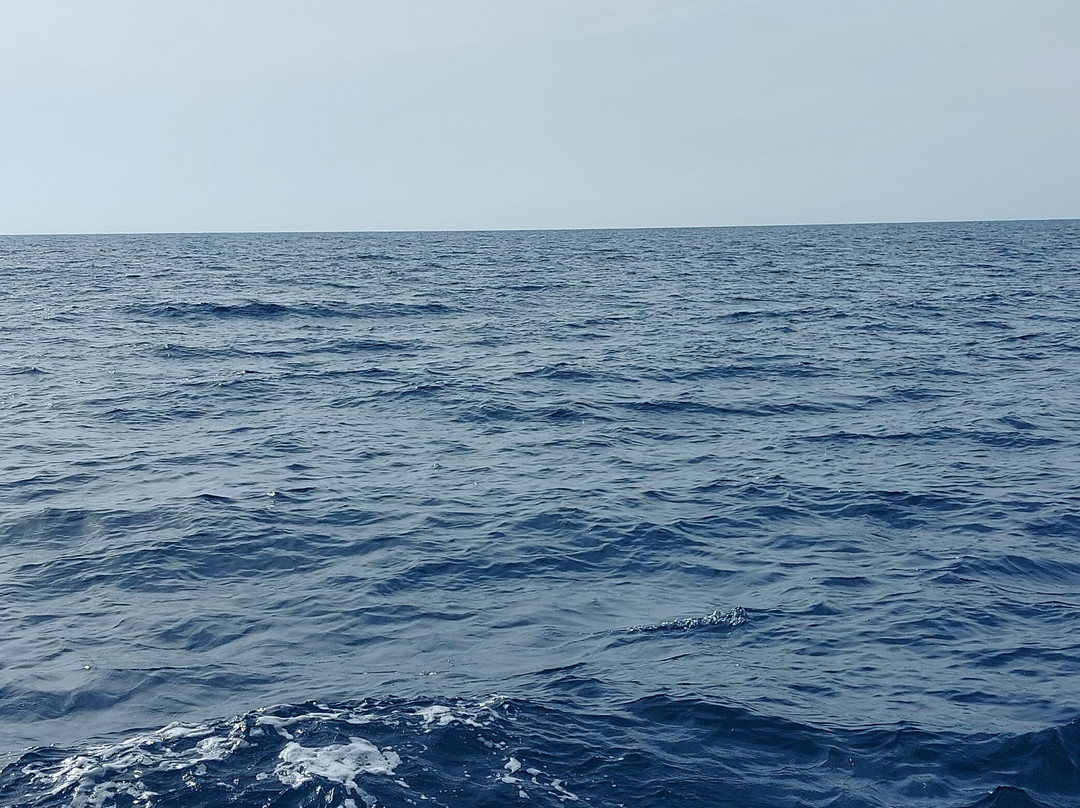 Hammamet Pirate Ship-Yasmine Hammamet必去景点