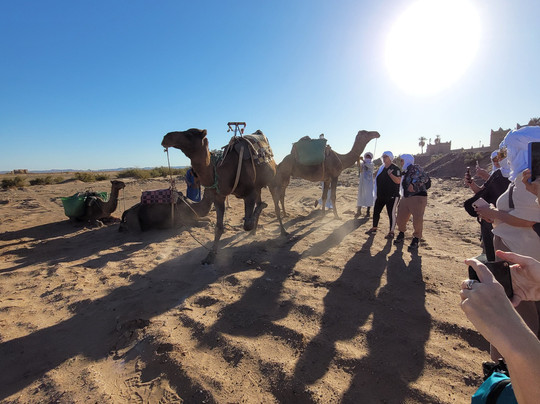 Bivouac Nour-迈哈米德必去景点