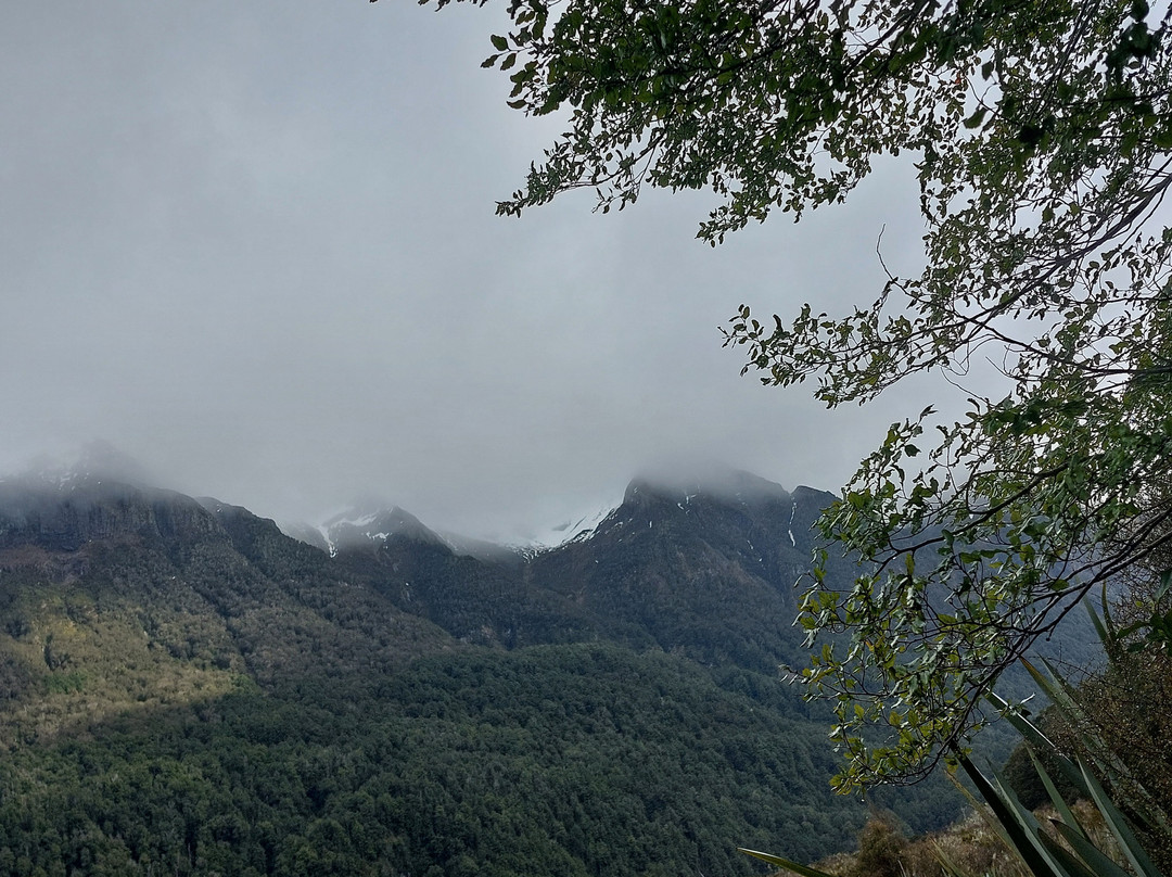 Cheeky Kiwi Travel-奥克兰中心地区必去景点