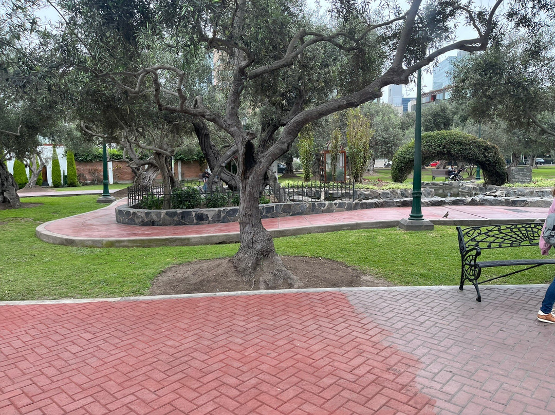 Parque El Olivar de San Isidro-利马必去景点