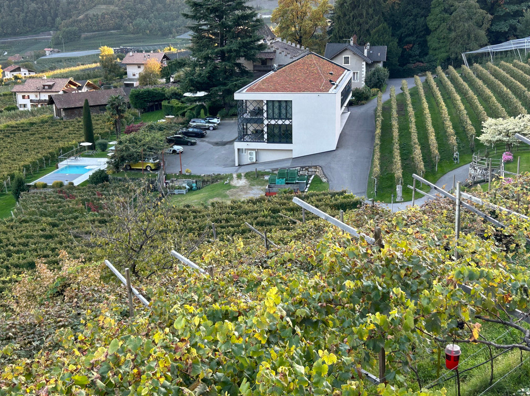 Schloss Plars Wine & Suites主图