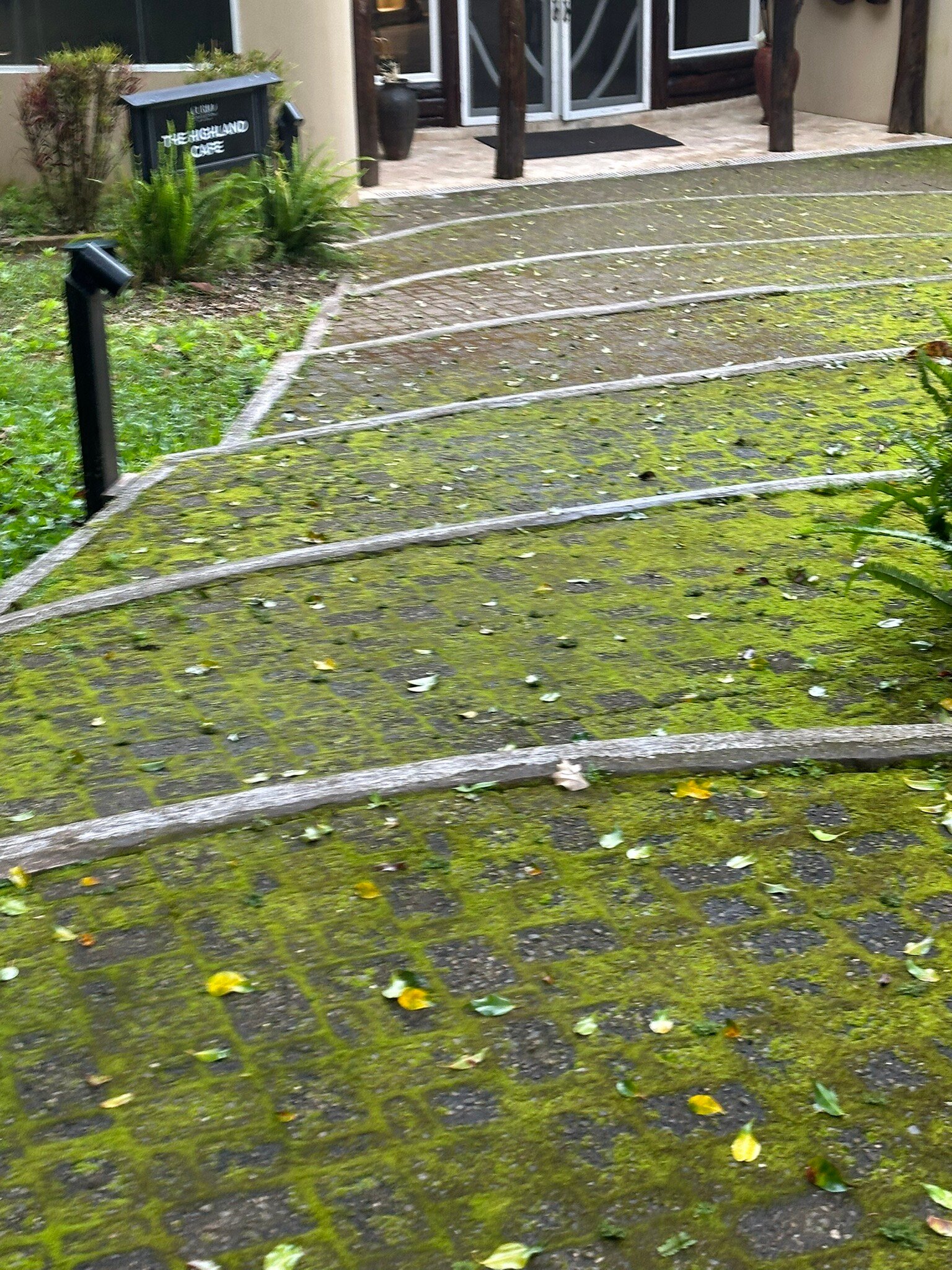 加拉帕戈斯皇家棕榈酒店-官方