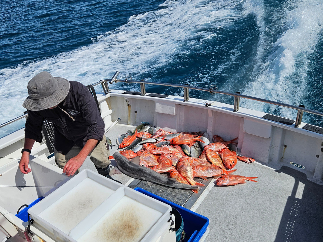 Reef Encounters Fishing Charters-Marion Bay必去景点