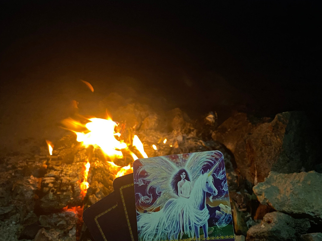 Horse Trips Iryna-赫尔格达必去景点