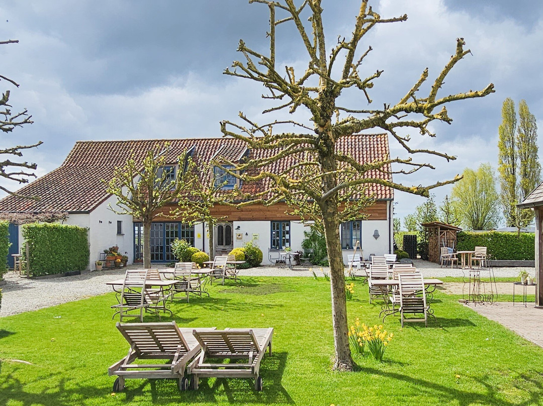 Boutique B&B Droomkerke主图