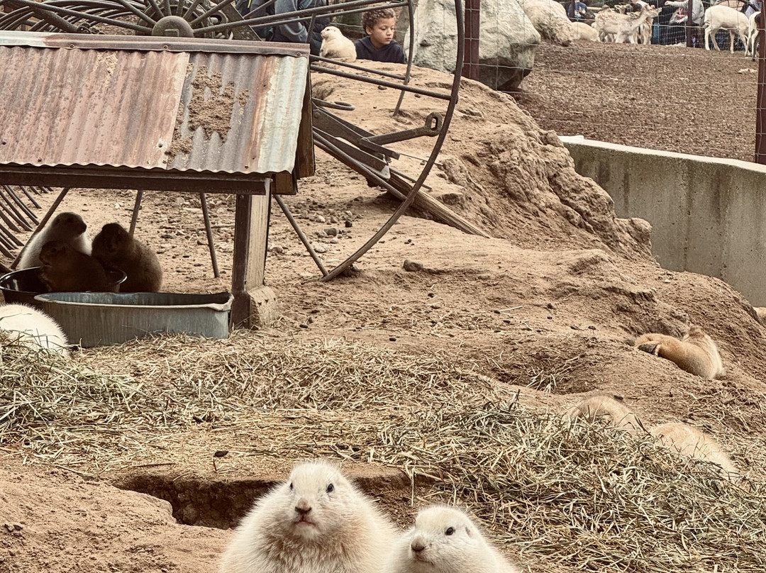 Lewis Adventure Farm & Zoo-New Era必去景点