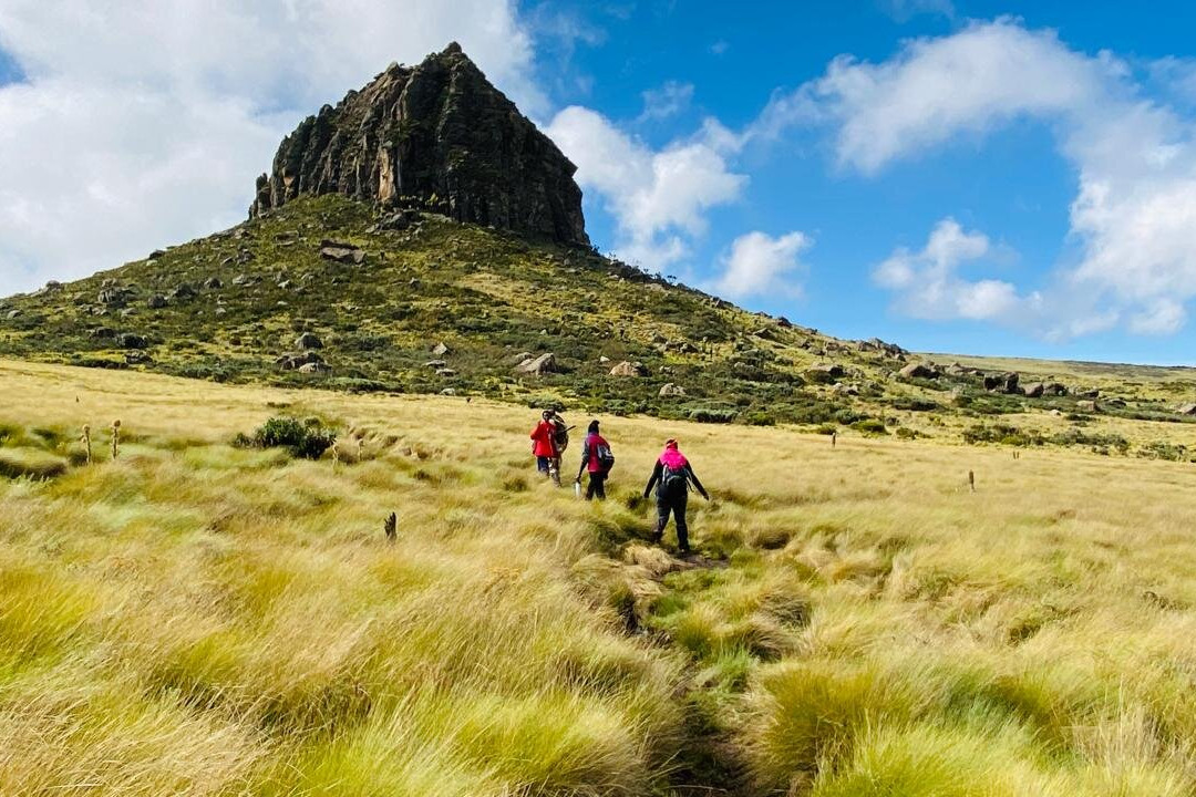 塔法利亚城堡酒店主图