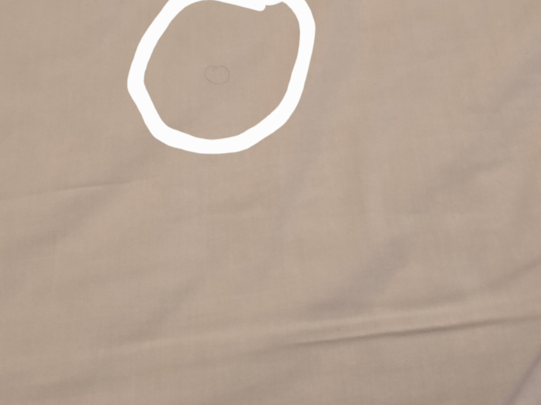 Hotel La Residence主图