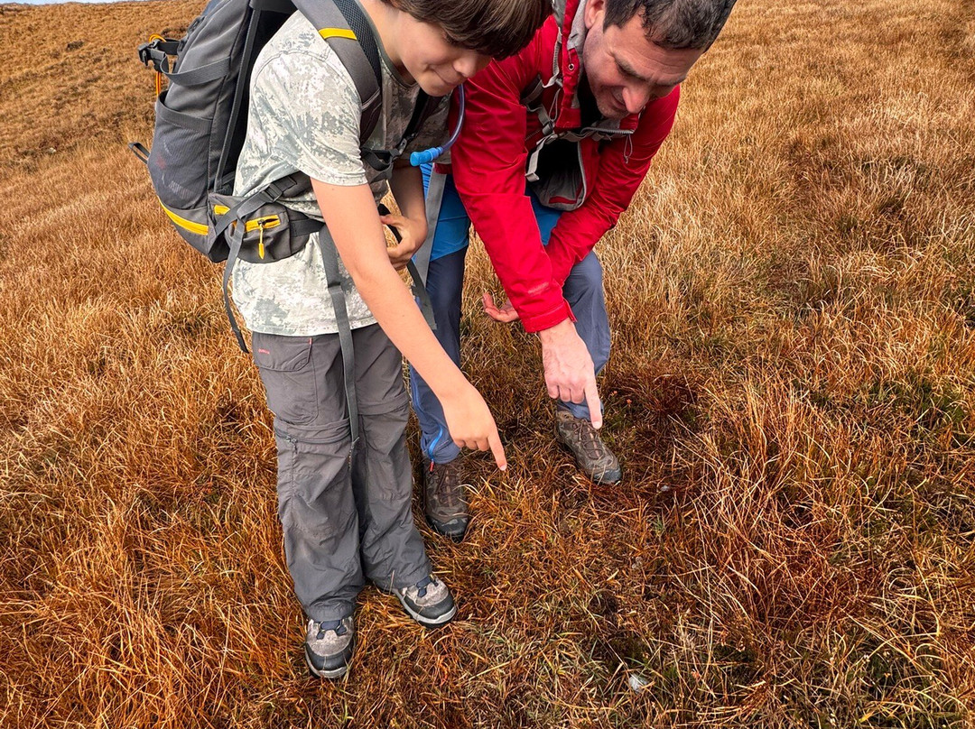 Walk Mull-马尔岛必去景点