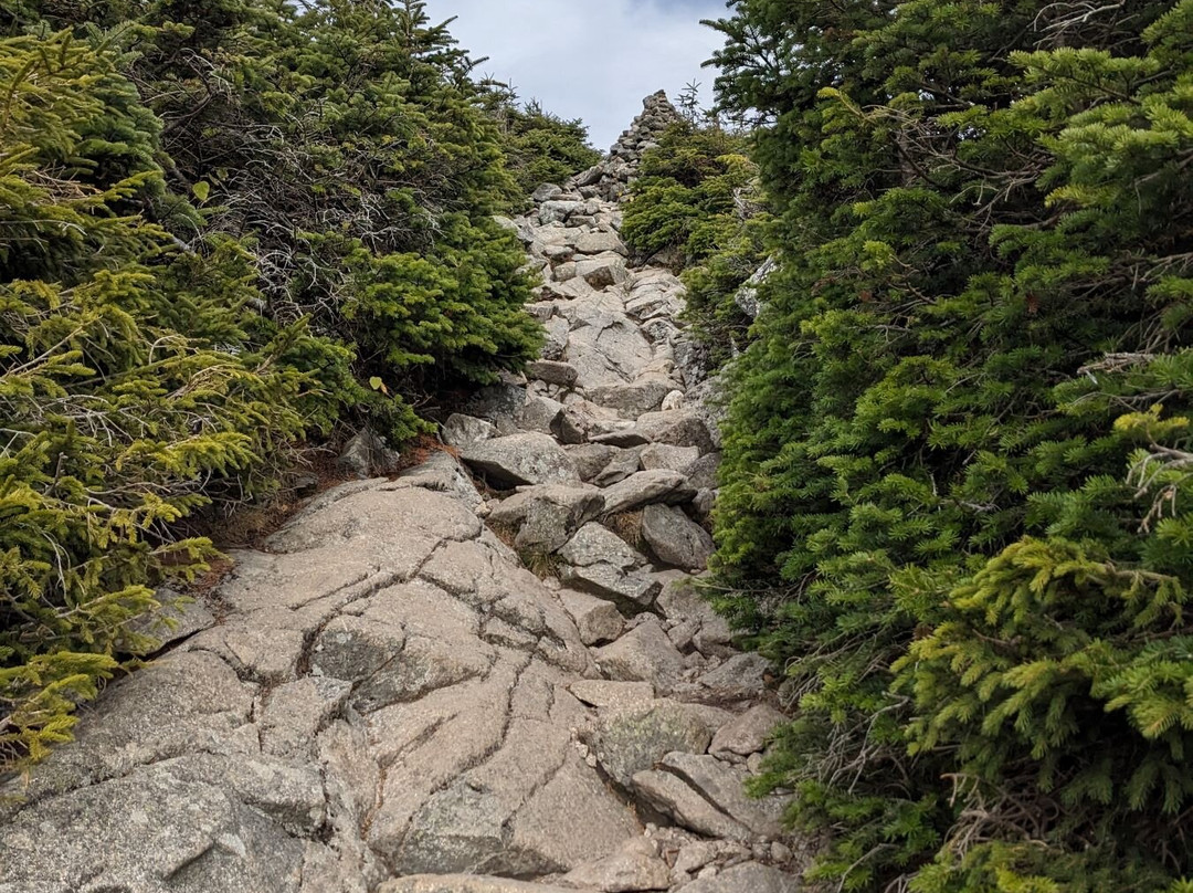 Mount Lafayette-弗朗科尼亚必去景点