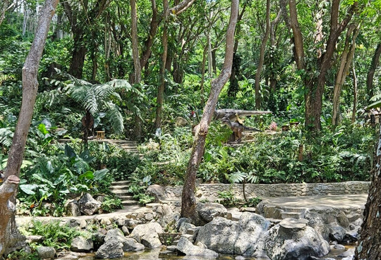 Denarau Taxi Transfers And Tours-丹娜努岛必去景点