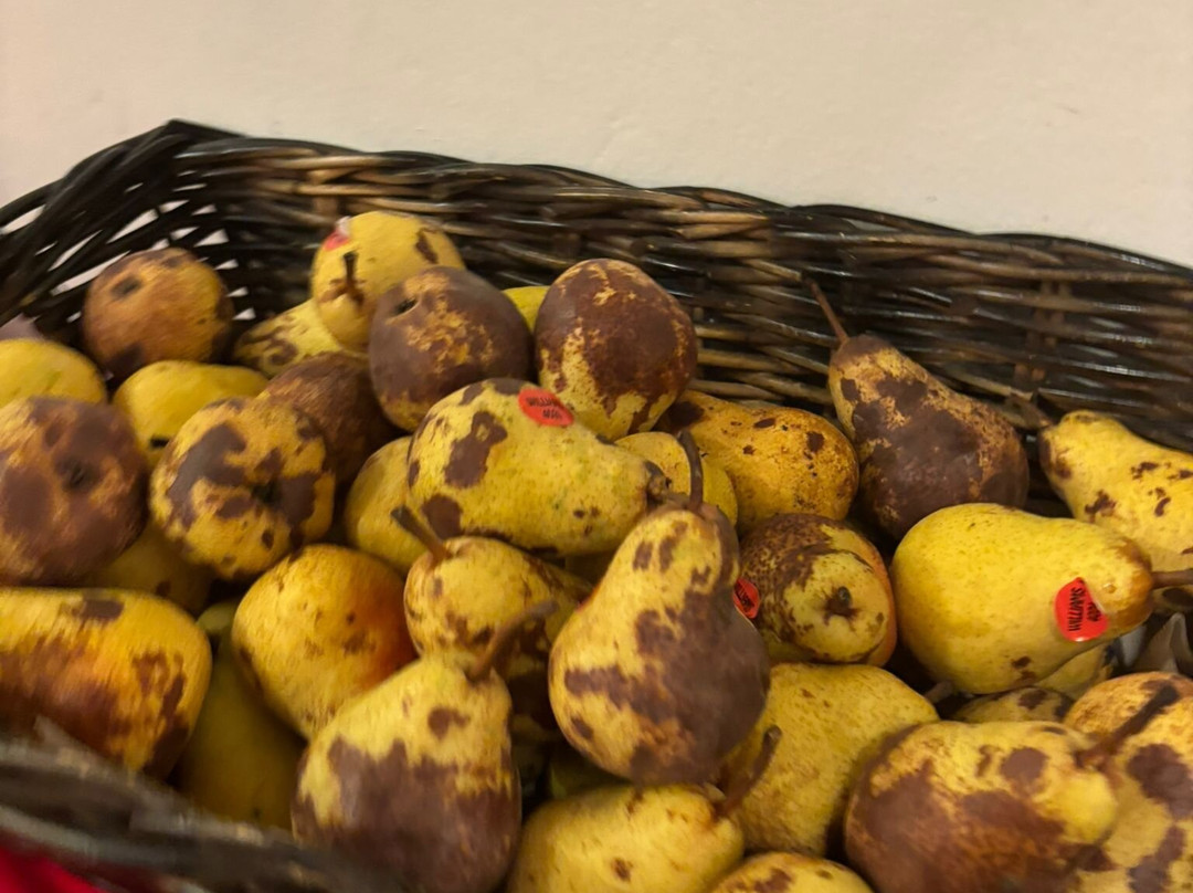 Hôtel Castel Luberon主图