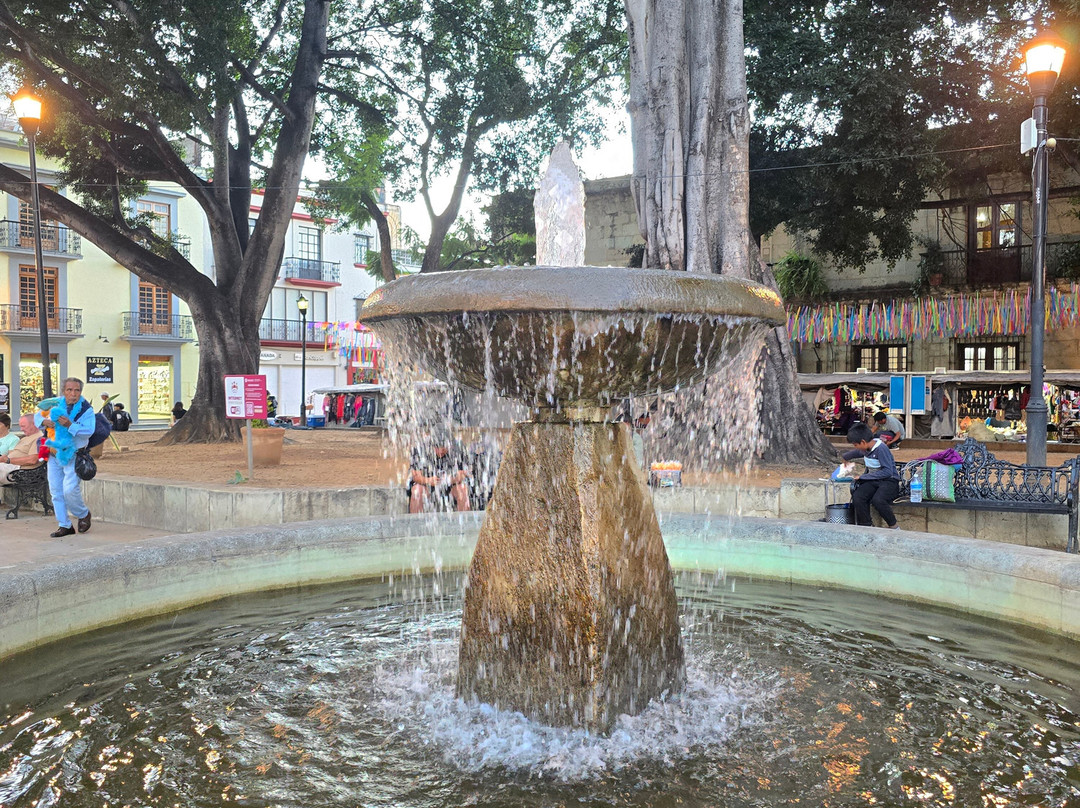 Jar8's Tours-Nanchital de Lazaro Cardenas del Rio必去景点