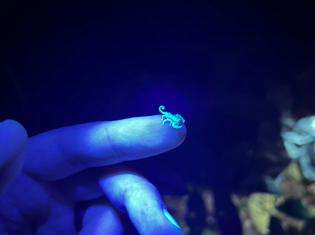 Sister Tour-Pangkalan Bun必去景点