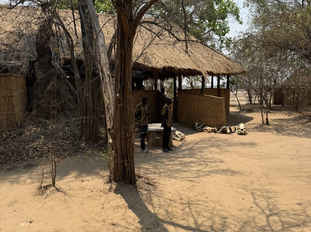 Island Bush Camp主图