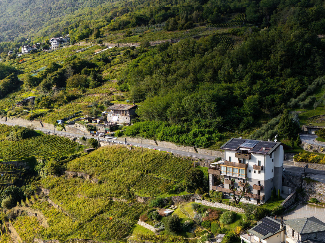 Wine Hotel Retici Balzi主图